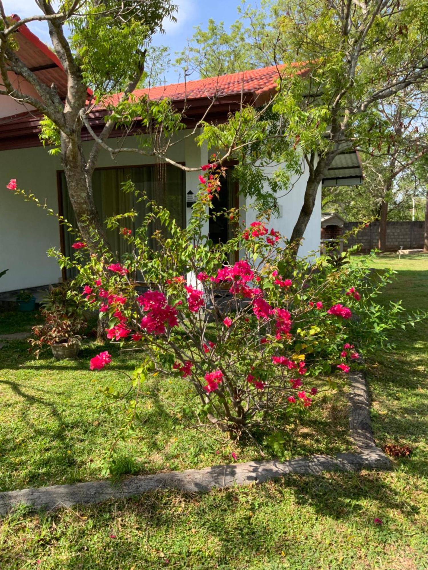 Nature Resort Polonnaruwa Exterior photo