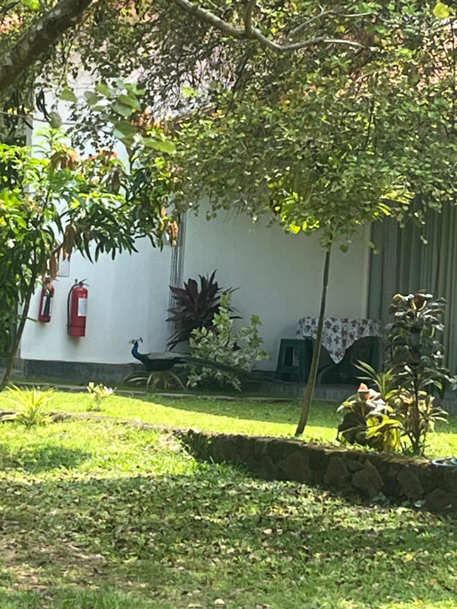 Nature Resort Polonnaruwa Exterior photo